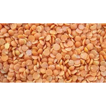 Common Masoor Dal