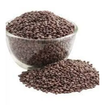 Common Black Masoor Dal
