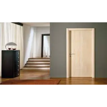 Sintex MDF Door