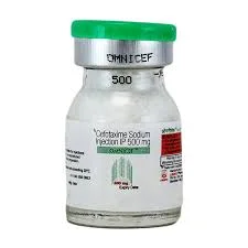 Tobramycin Injection-500 Injection