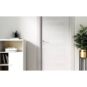 Rohit Melamine Doors
