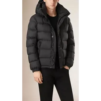 Ravishing Men Down Jacket