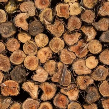Polished Meranti Wood