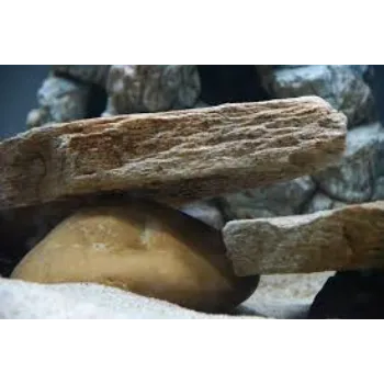  Metamorphic Stone