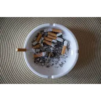 Vikram Metal Ash Tray