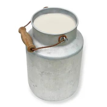 Navrang Metal Bucket