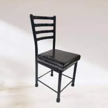 Modern Metal Dining Chair