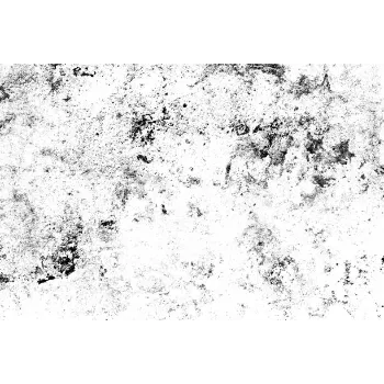 Silence Metamorphic Stone