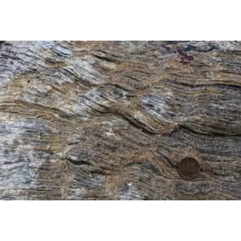 Mahavir Metamorphic Stone