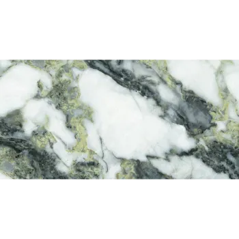 Shambhavi Metamorphic Stone
