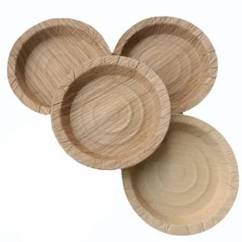  Mica Paper Plate