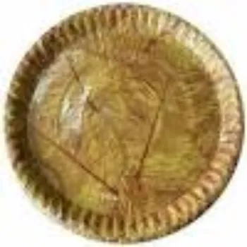 Future Box Private Limited Mica Paper Plate