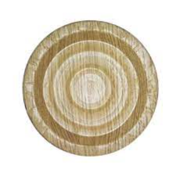 Color Coated Mica Paper Plate