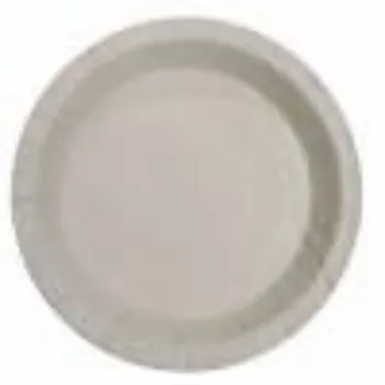 Ragavi Enterprises Mica Paper Plate