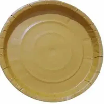 Best Quality Mica Paper Plate