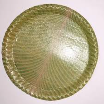 Round Mica Paper Plate