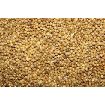 Natural Millet Seeds