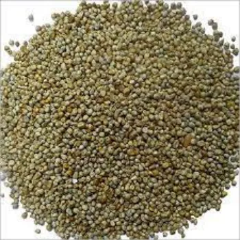 Organic Millet Seeds