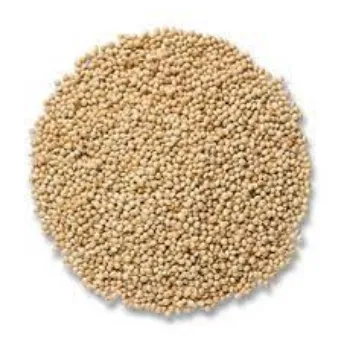 Millet Seed