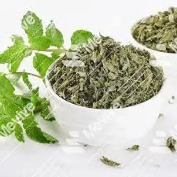 Natural Mint Leaves