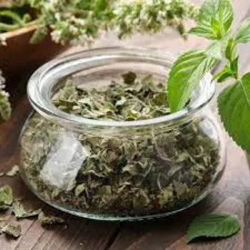 Natural Dried Mint Leaves