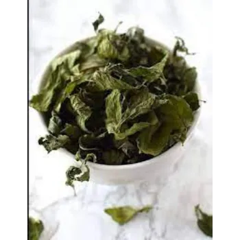Organic Mint Leaves