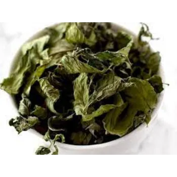 Natural Mint Leaves