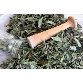 Common Dried Mint Leaves