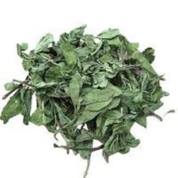 Organic Mint Leaves