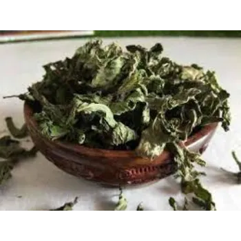 Natural Dried Mint Leaves