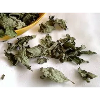Dried Mint Leaves