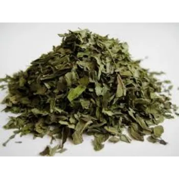 Natural Dried Mint Leaves