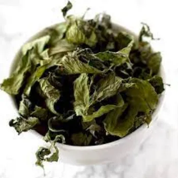 Natural Dried Mint Leaves