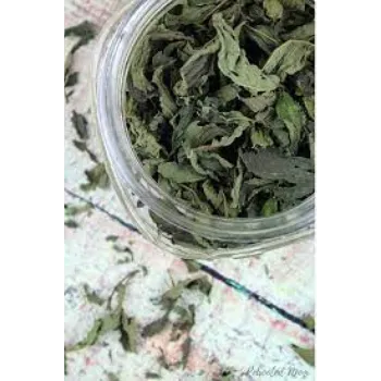 Organic Mint  Leaves