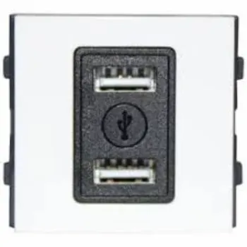 Rigorous Quality Modular USB Charger Socket