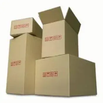 Satya Craft Mono Cartons