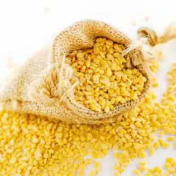 Common Moong Dal