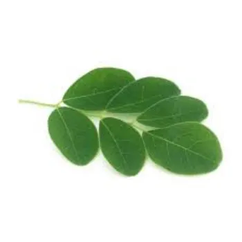 Natural Moringa Leaves