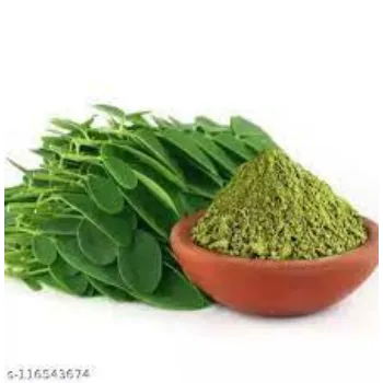 Roshni Agri forestry Moringa Leaves