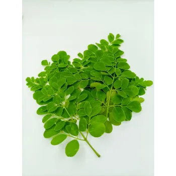 Natural Moringa Leaves