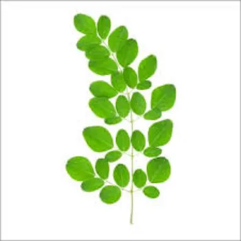 Natural Moringa Leaves