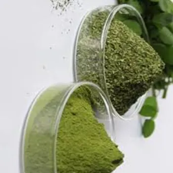 Rare Moringa Leaves
