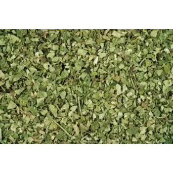Moringa Leaves