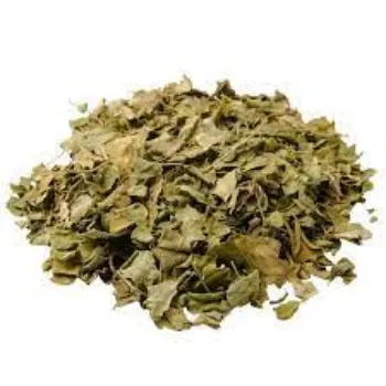 Common Dried Moringa Leaves