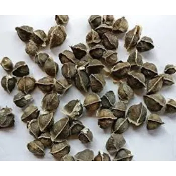Organic  Moringa Seed