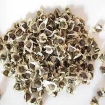 Organic Moringa Seed