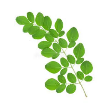 Organic  Moringa Leaves