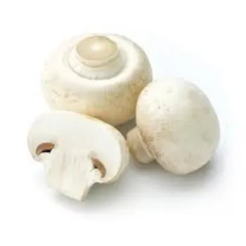 Frozen Mushroom