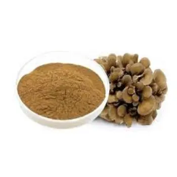 Common Mushroom Powder