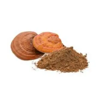 Mushroom Powder